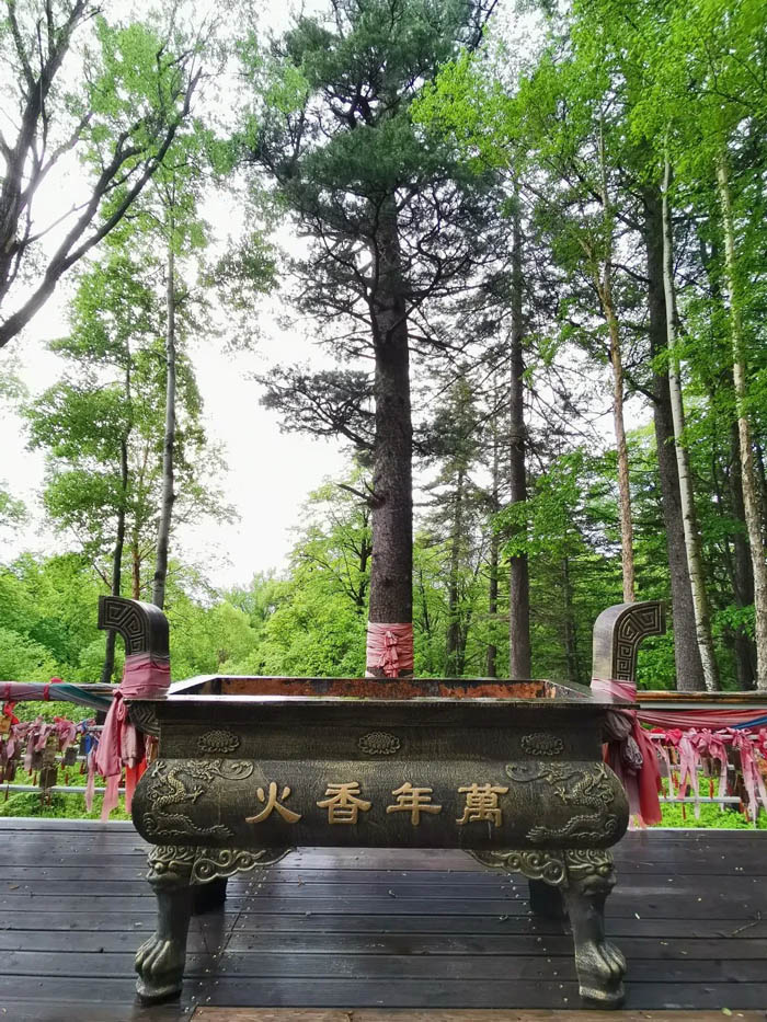 【夢想聚團(tuán)隊 團(tuán)隊創(chuàng)輝煌】西微雅團(tuán)建活動——長白山之旅(圖4)